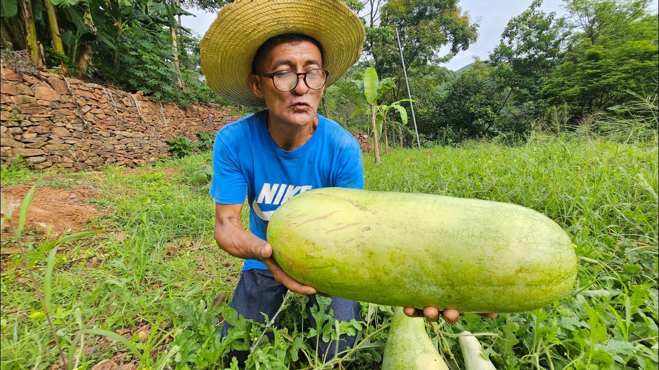 que enorme sandia🍉 encontró don jose