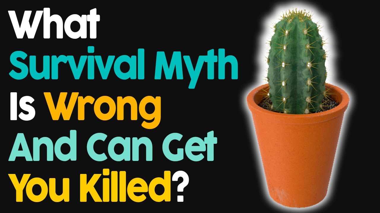 What Survival Myth Is Wrong And Can Get You Killed?