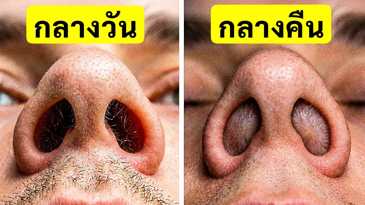 ข้อเท็จจริงเกี่ยวกับร่างกายที่ทำให้นักวิทยาศาสตร์ต้องทึ่ง