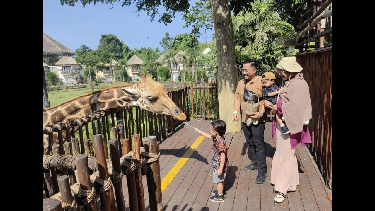 Mahir dan Samir Liburan ke Bali Safari || kasih makan Jerapah.