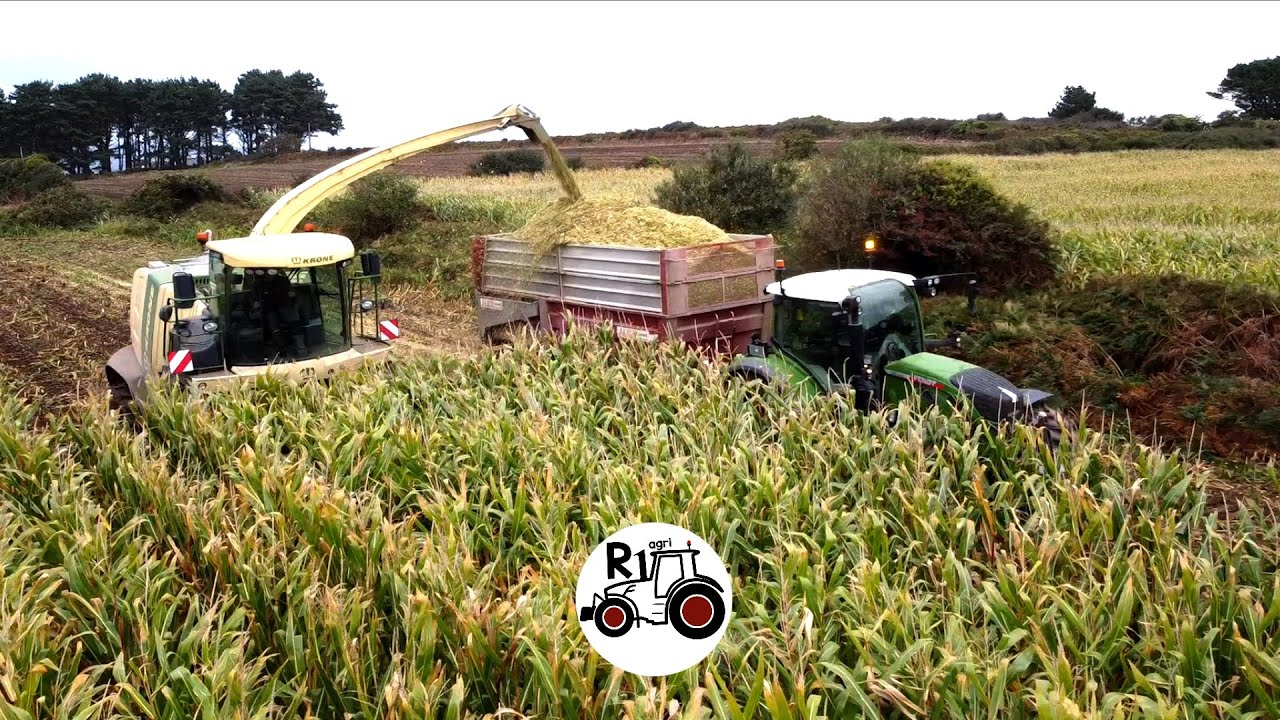 ENSILAGE DE MAIS 2023 EN BRETAGNE 100% ETA D'HERVE KRONE BIG X FENDT  ONE