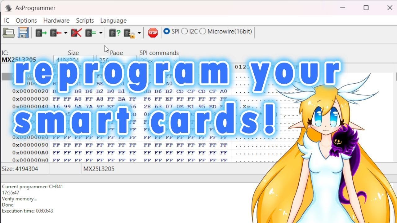 tutorial asprogramer for tamagotchi smart cards