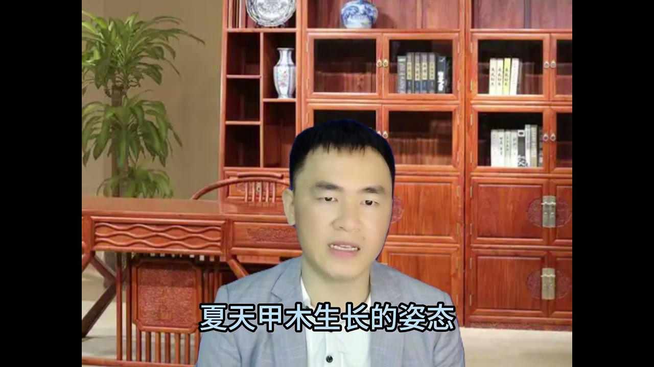夏天甲木生长的姿态