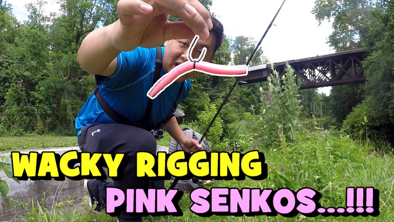 I FINALLY BECAME an AMERICAN...!!! (Celebrating With PINK Senkos)