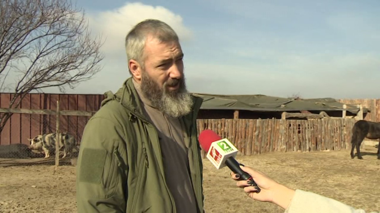Грижа за малтретирани коне