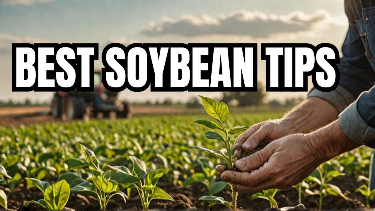 Top 10 Techniques for Planting Soybeans