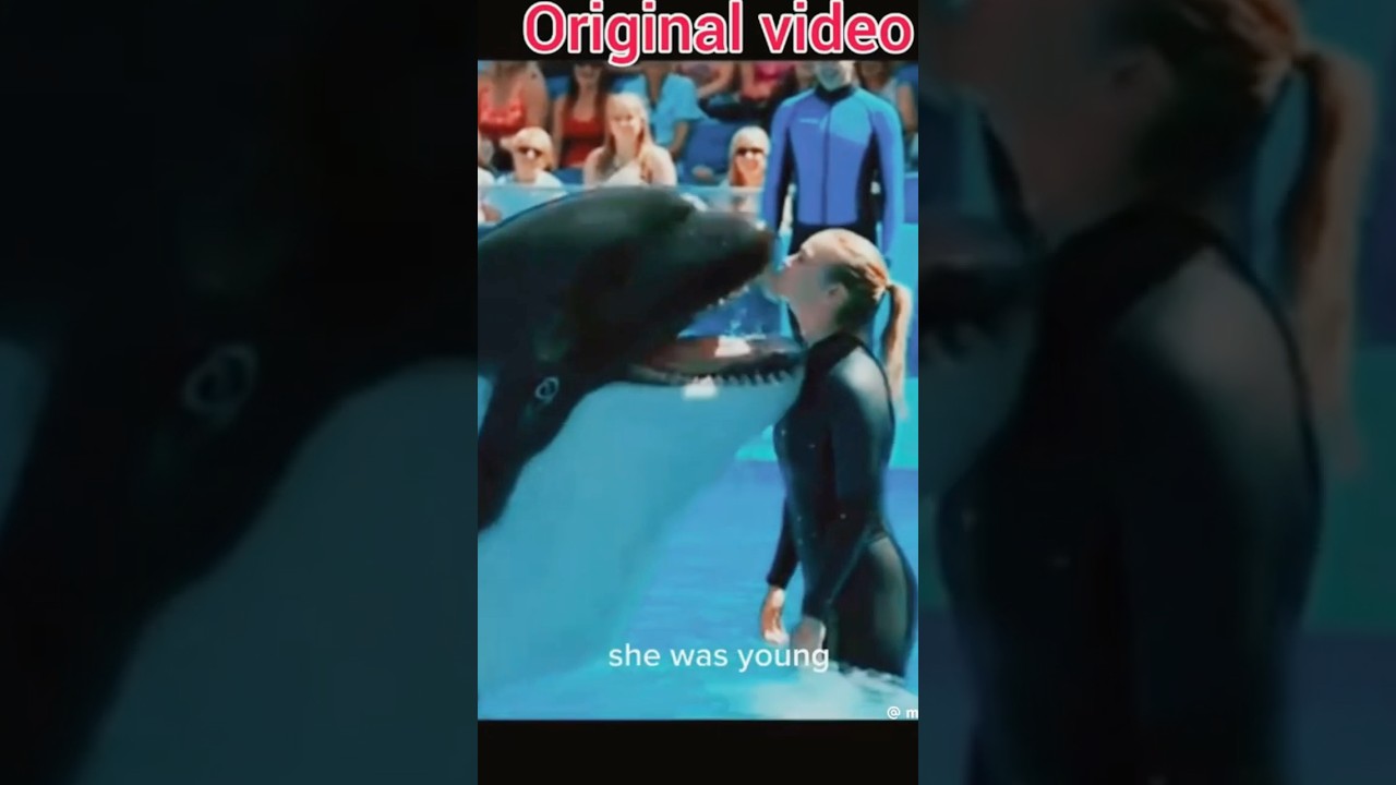 The Viral Jessica Radcliffe Orca Video &ndash; 100% Fake