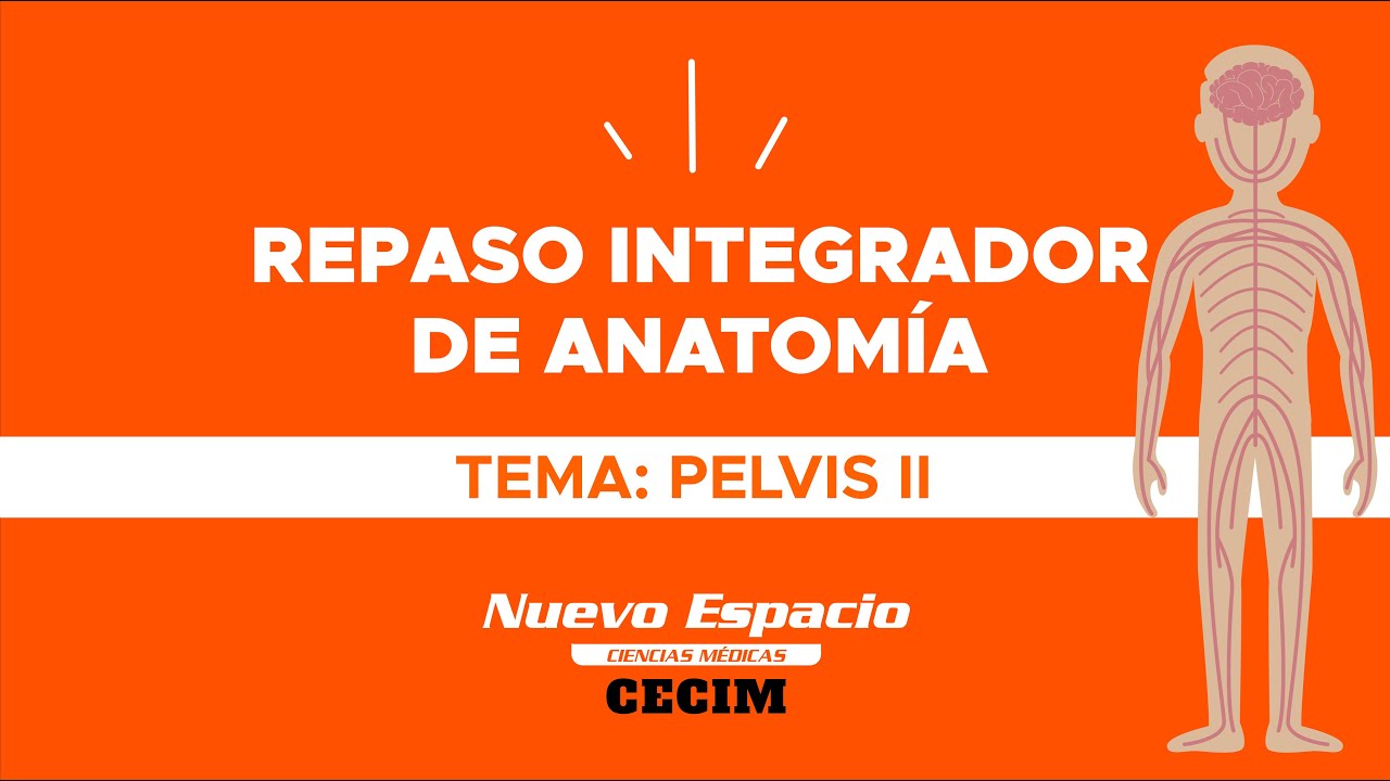 PELVIS II - Repaso integrador de Anatomía para Medicina