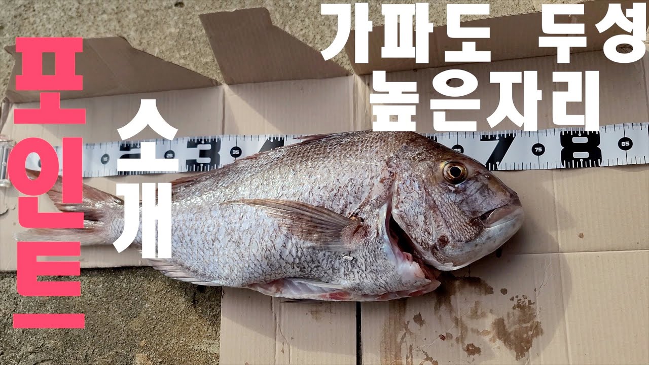 밤낚시와 돌돔 찌낚시 하기 좋은 제주 가파도 두성 높은자리 포인트