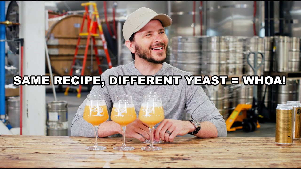 Обсуждаем эксперименты с дрожжами пивоварни Tree House Brewery!