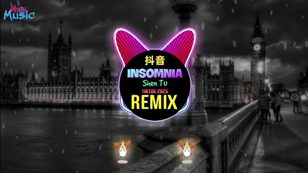 Shen Tu - INSOMNIA (Phonk 2025 Remix Tiktok) || Hot Tiktok Douyin DJ抖音热播版 