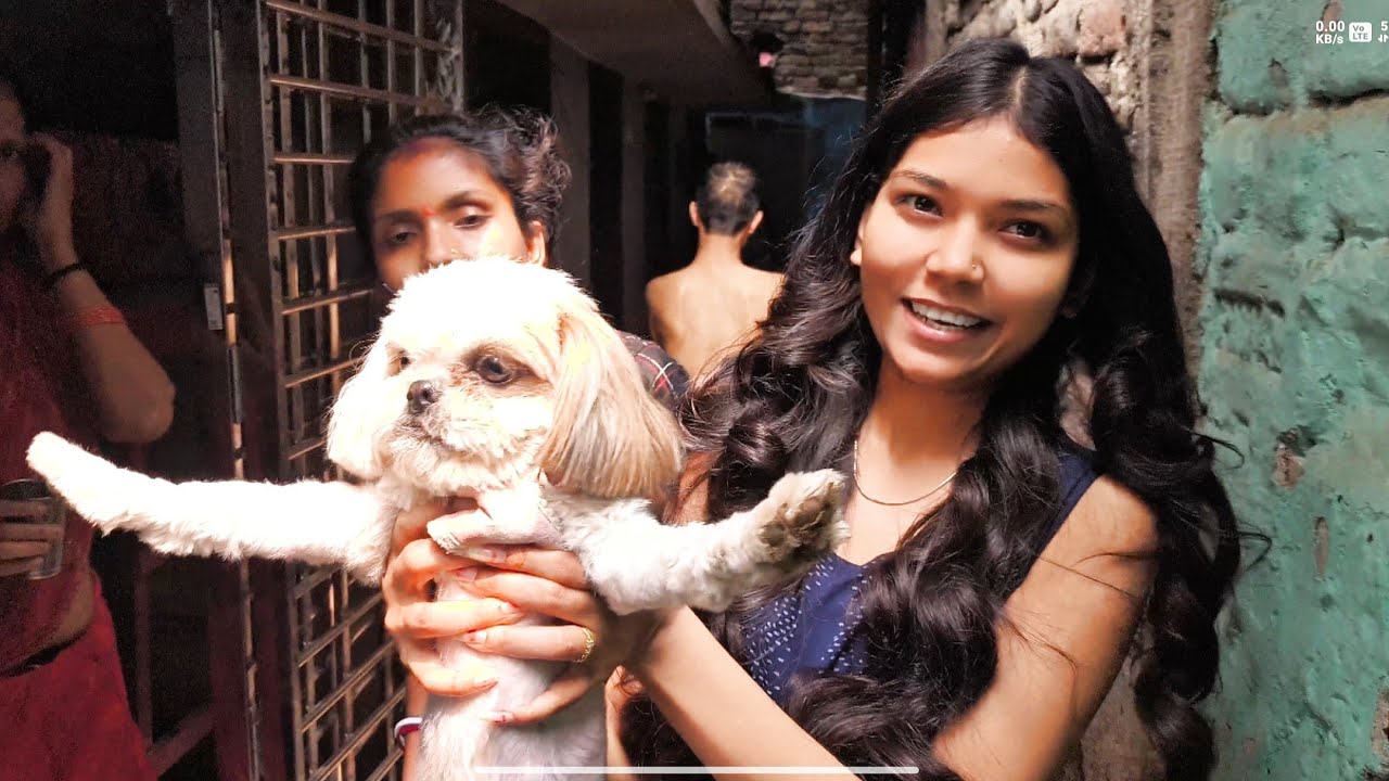Aaj Hamare Ghar Chhota Navab Aaya 😎 My Crazy Vlog Day 13/365 👋
