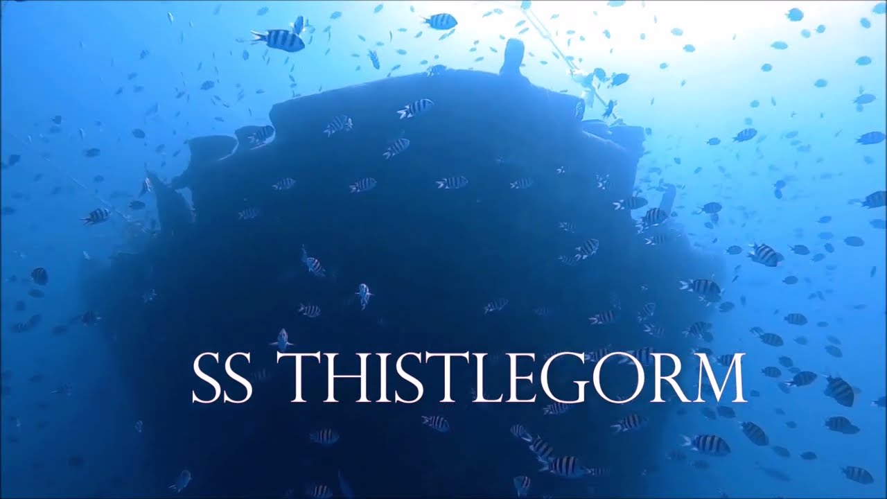 SS Thistlegorm - Part 1: Story and wreckdiving  (by Paolo VDL - 2023)