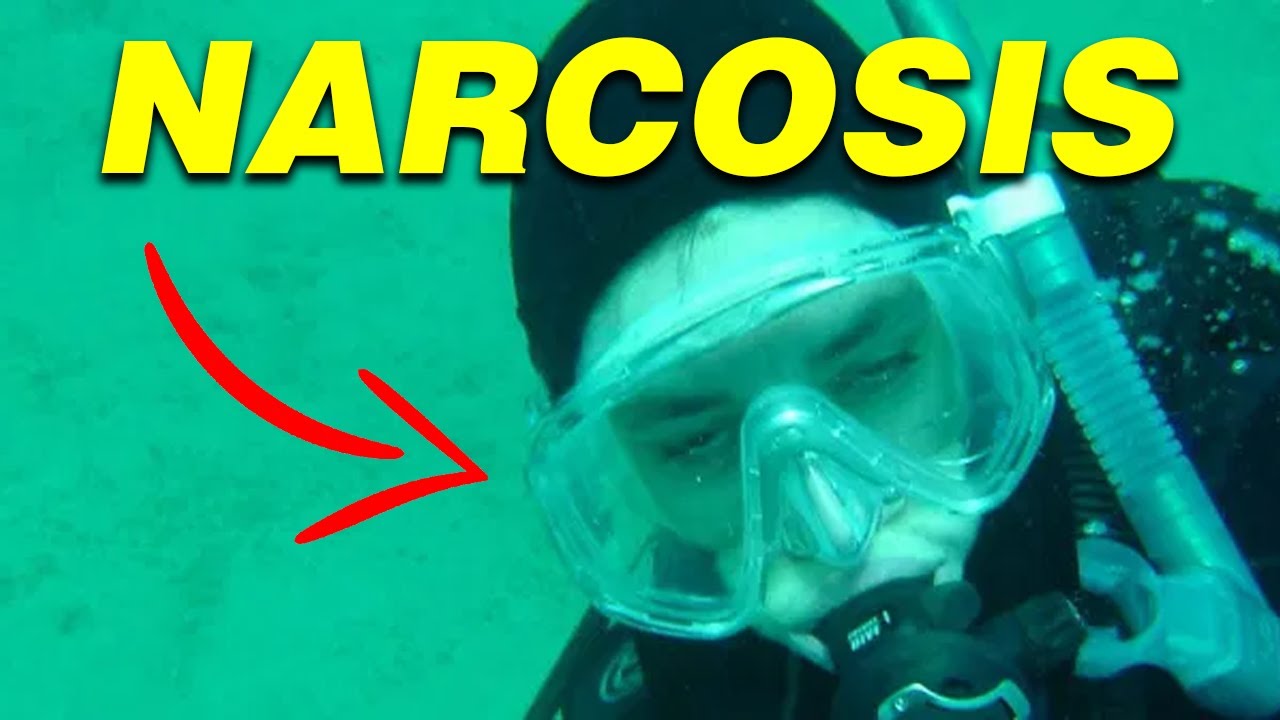 Guía de Supervivencia de Narcosis ⚠️