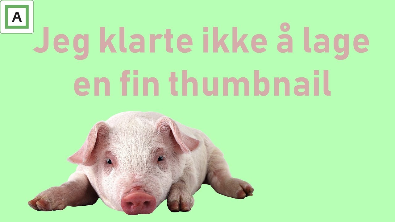 Jeg og Marcus sløser en hel dag