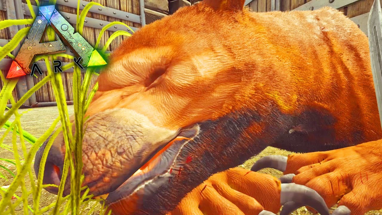 ARK PRIMITIVO #93 - Encontrei o LEÂO 🦁 Perfeito!