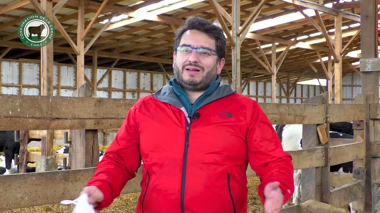 REPORTAJE SUSTENTABILIDAD GANADERA CORPCARNE 2021