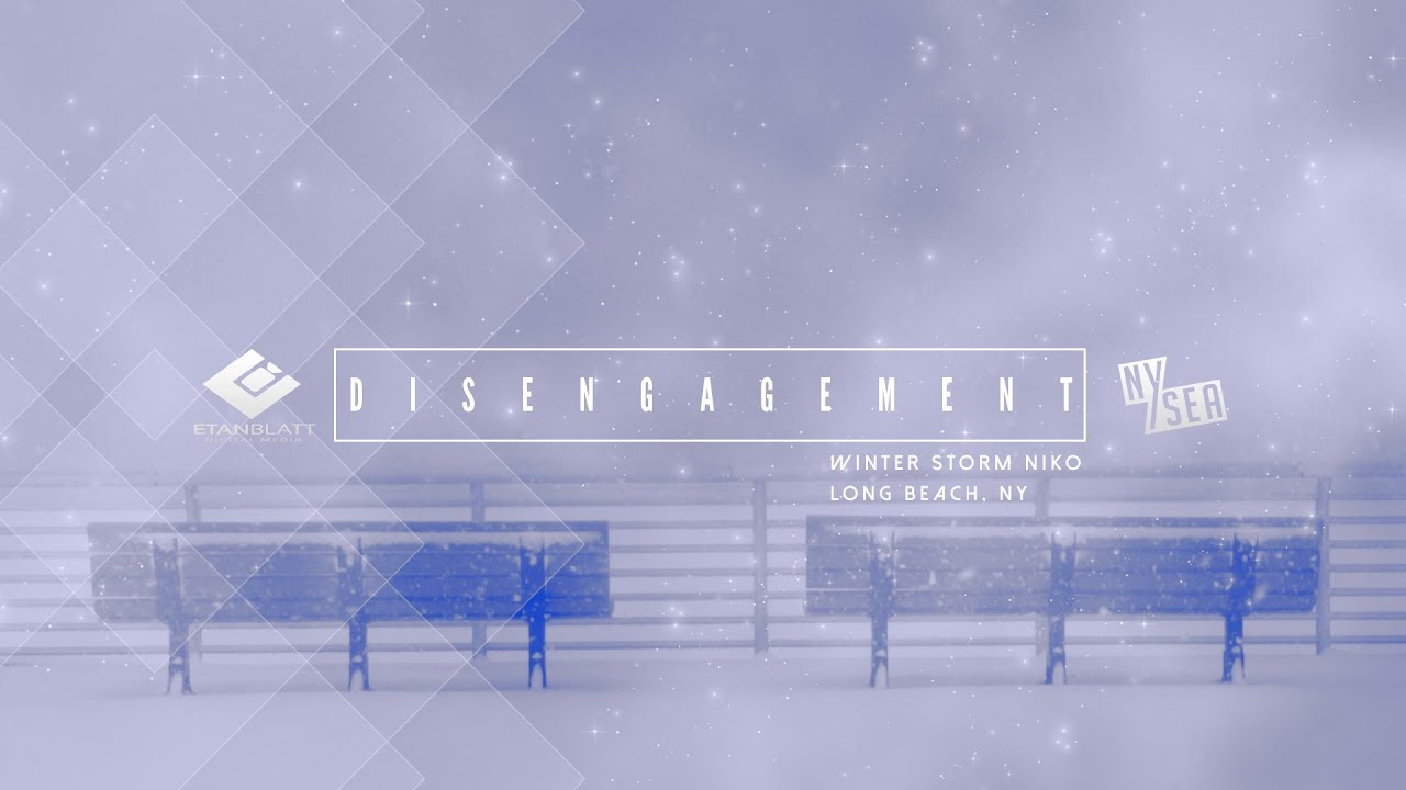 DISENGAGEMENT | WINTER STORM NIKO | NEW YORK
