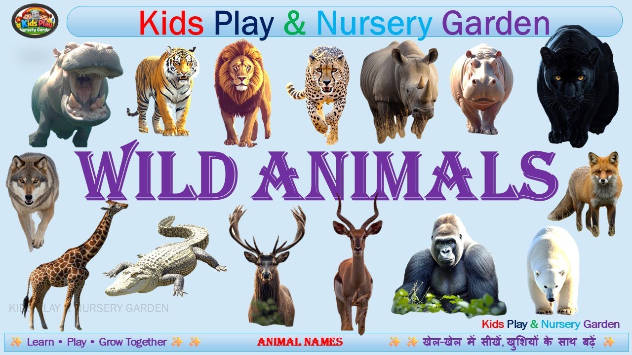 WILD ANIMALS - #NURSERY, #UKG, #LKG, (Kids Play Nursery Garden),#VIRAL, #RHYMES,#TRENDING, #SHORTS,