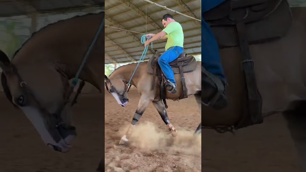 Um pouco sobre equilíbrio ✅