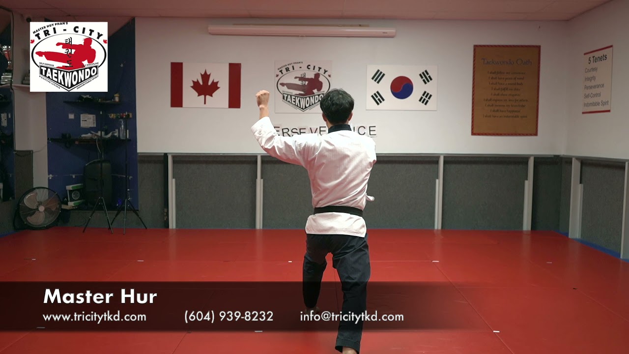 Poomsae: Yellow Stripe Pattern for Tigers (#1-10)