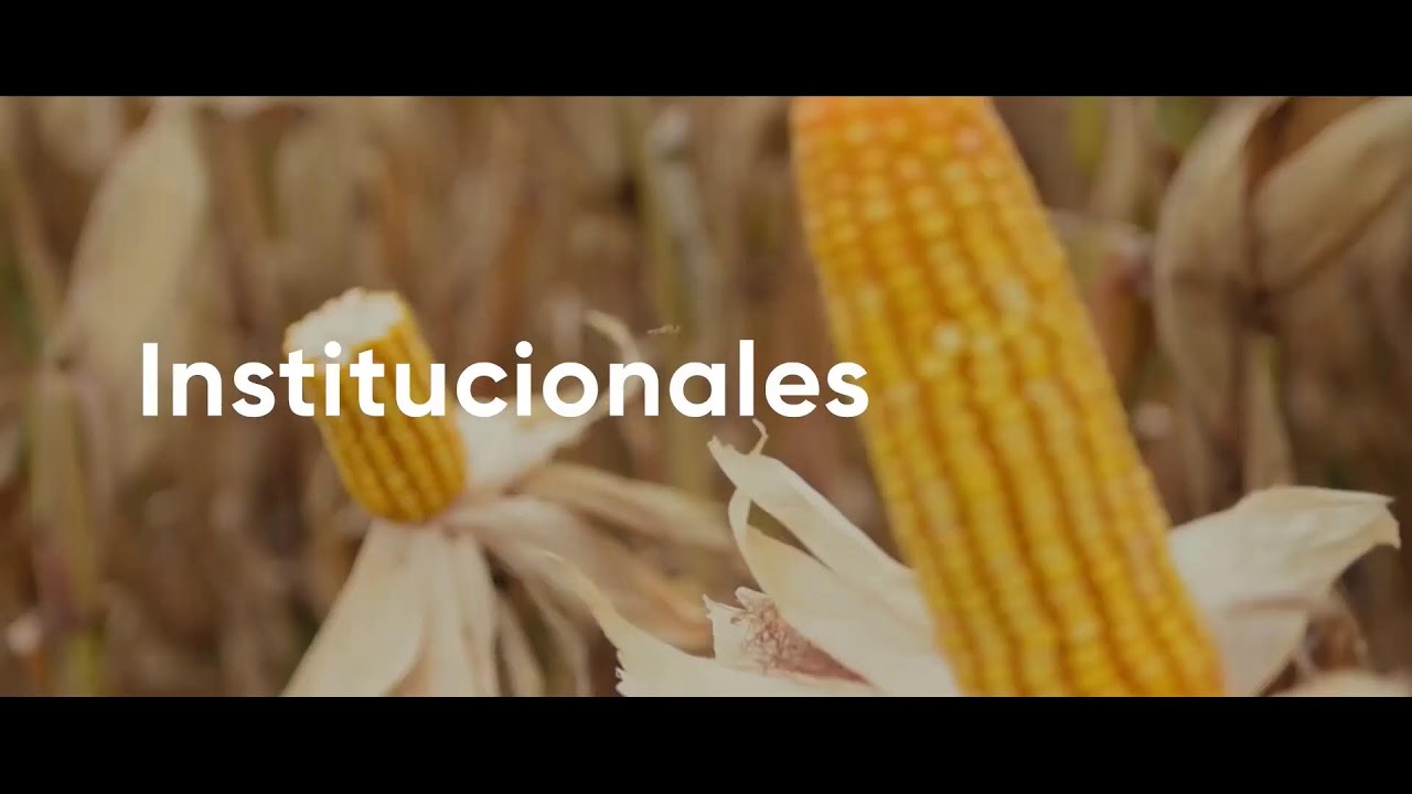 Productiva TV | En vivo
