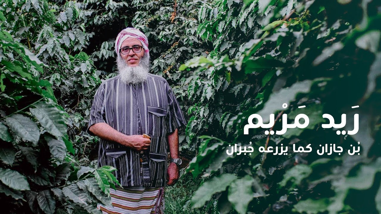 ريد مريم | بُن خولان كما يزرعه جبران