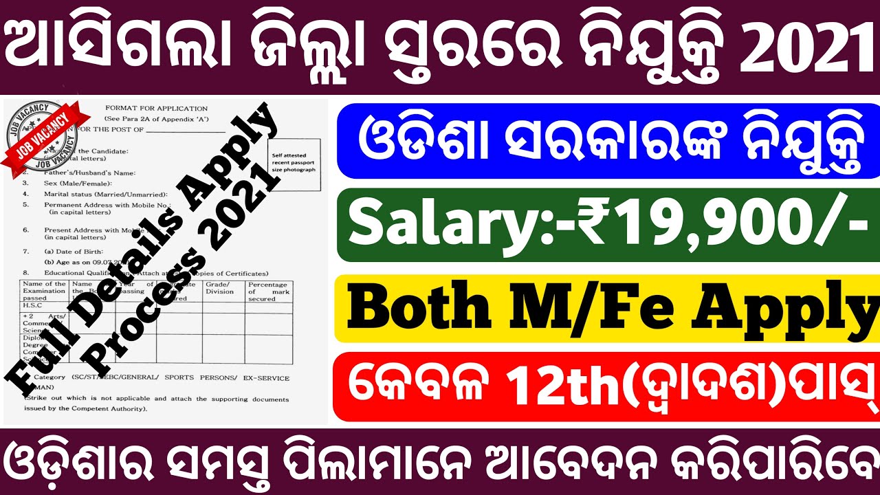 Odisha Govt job requirement 2021|Odisha District level job 2021| free job alert|Odisha job alert
