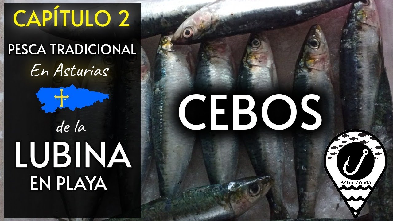 CHARLA EN LA SEDE DE SURFCASTING ASTURIAS CAPITULO 2º