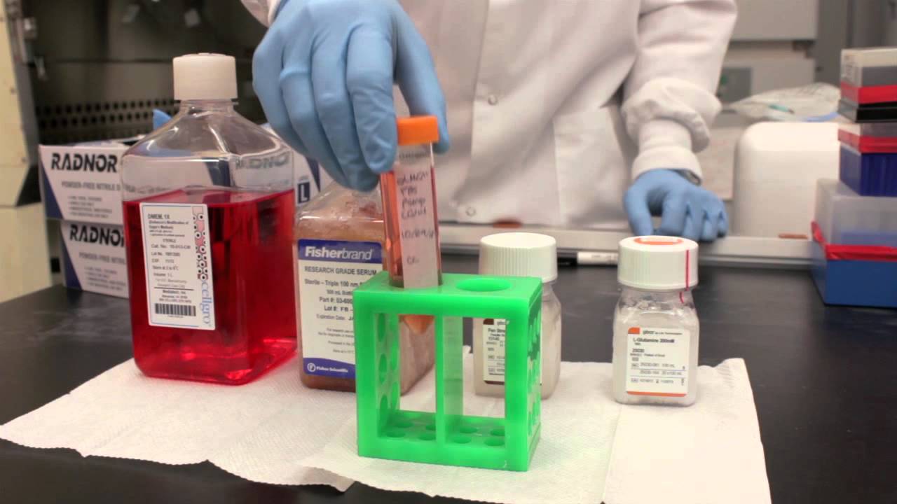 Chad Barber Cell Tissue Culture Training Video (rough cut)