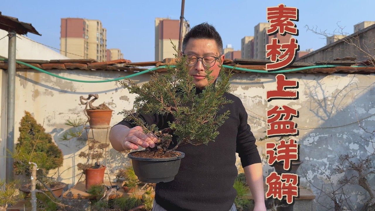 素材上盆详解
