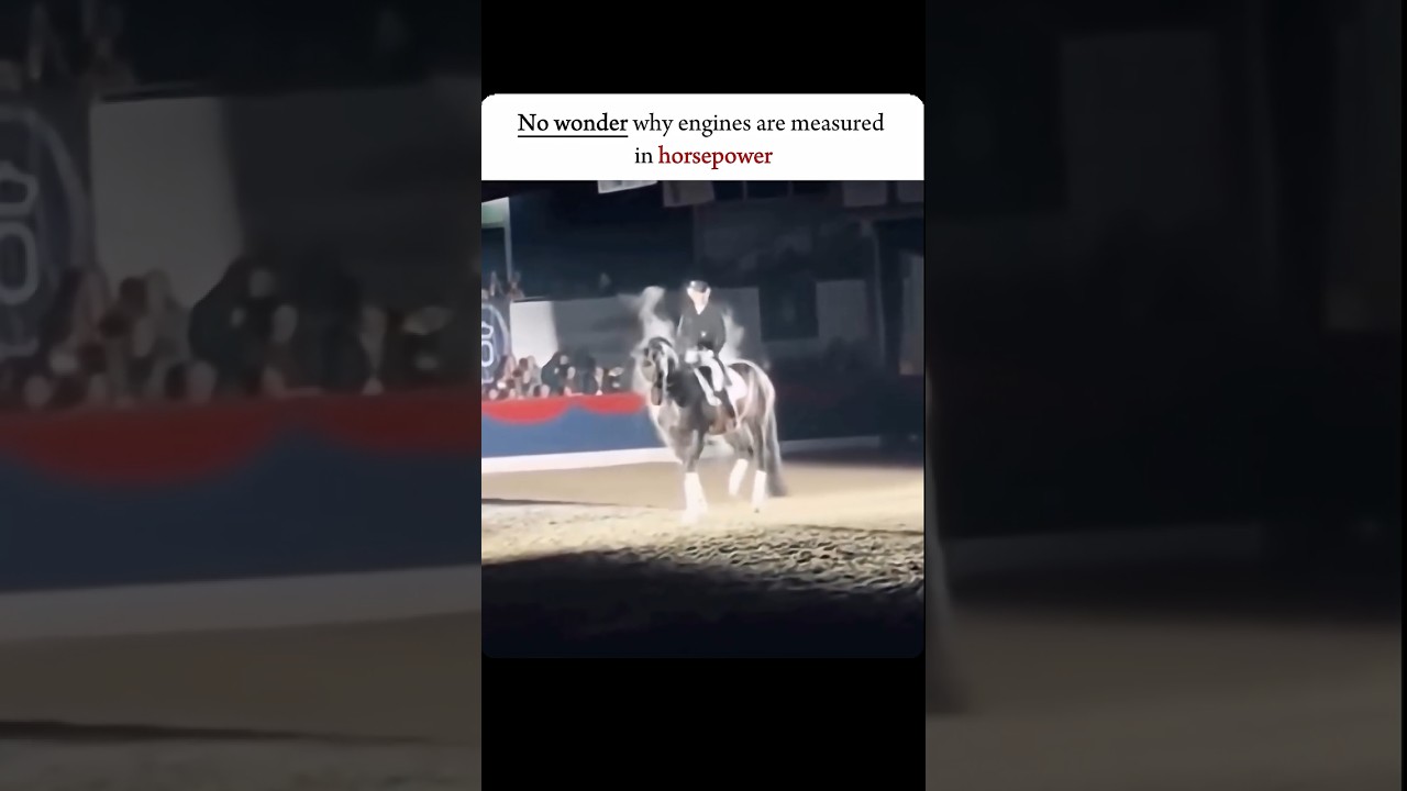 That's Why 🚗 Car Engines Measured in HORSE Power?! 🐎🔥#Horsepower