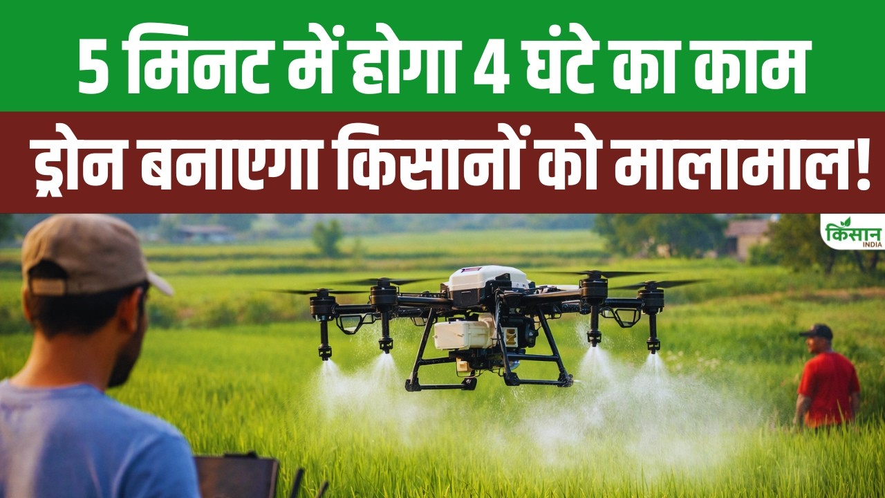 Drone से खेती का कमाल: 4 घंटे का काम अब सिर्फ 5 मिनट में। जानिए किसान कैसे हो रहे मालामाल।Kisan News