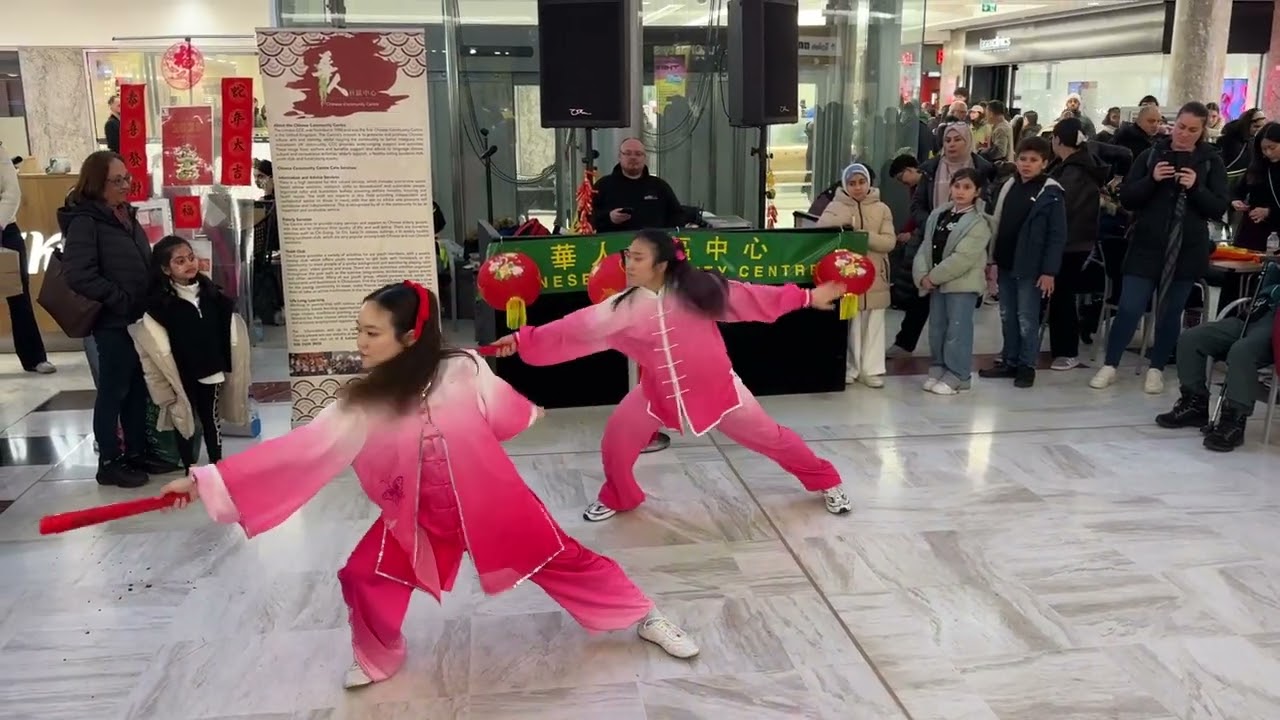 Tai Chi Kung Fu Fan 太极功夫扇