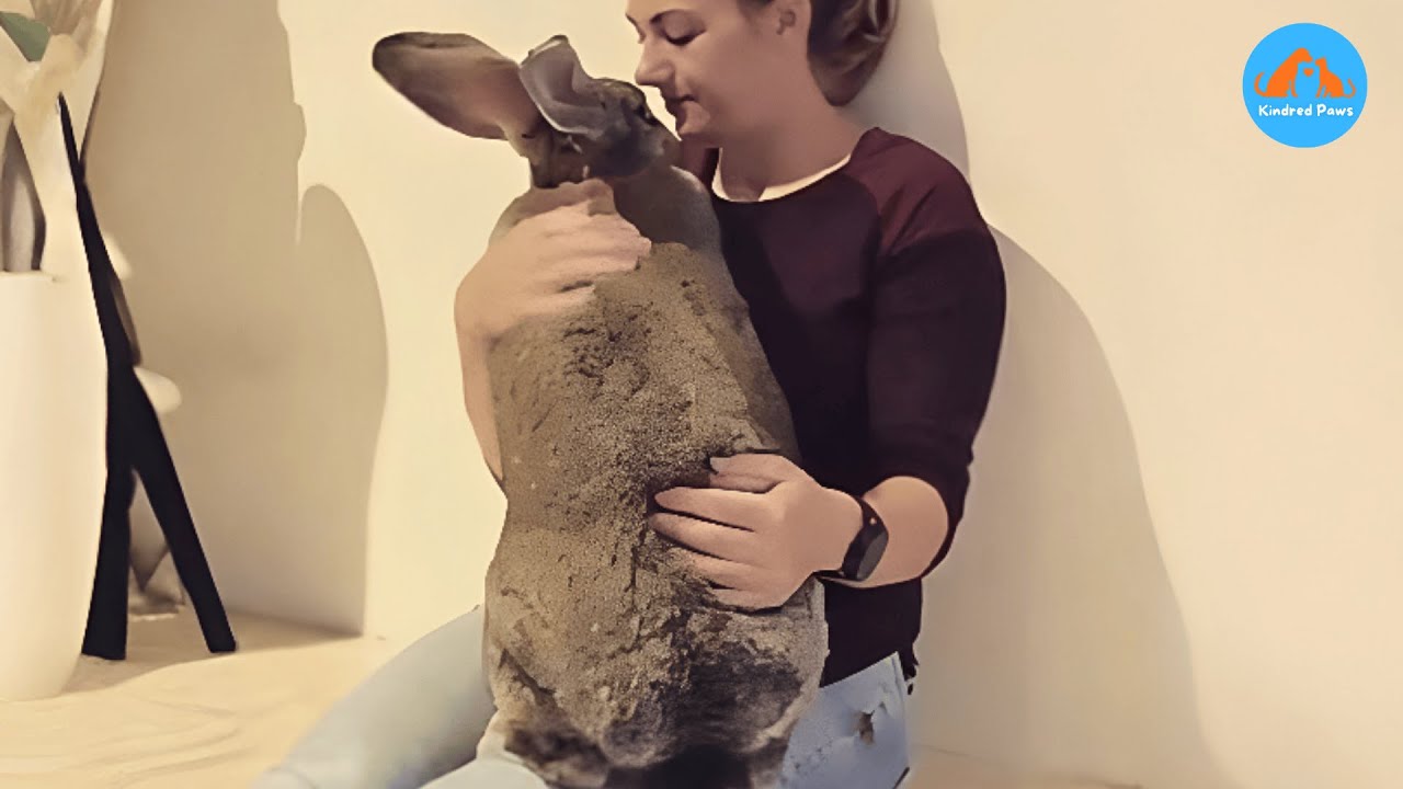 Он следует за мной повсюду. Вот почему я никогда его не забуду.