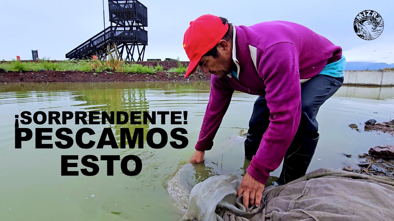 Pescando charales en el Lago de Texcoco