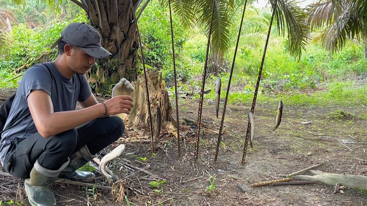 PASANG 20 PANCING TARGET IKAN PREDATOR DISUNGAI KECIL SETELAH BANJIR BESAR