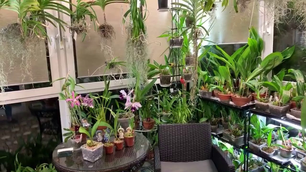 Первый прямой эфир. Вопросы и ответы