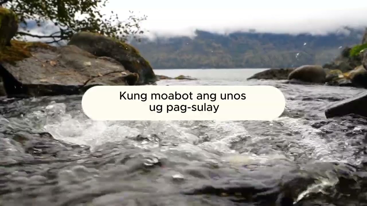 Bol anon ko, Modayeg kanimo