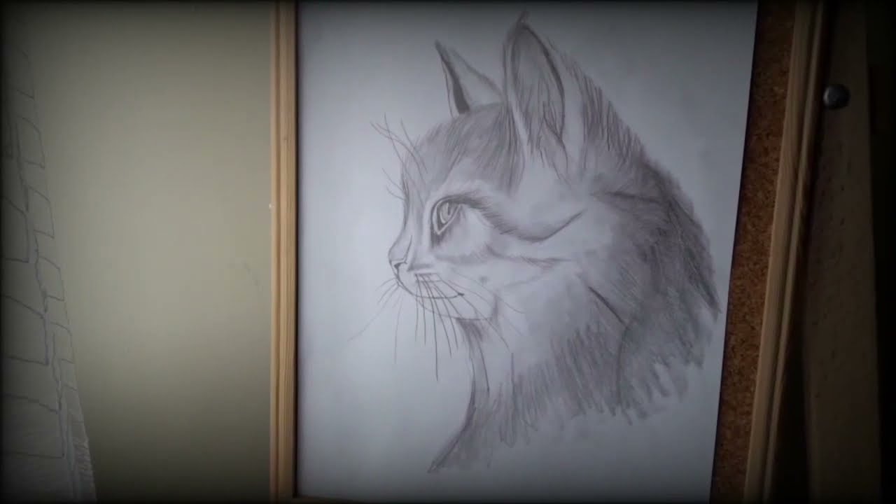 How to #draw a cat  #karakalem #çizim #kolay Kedi Çizim : #art