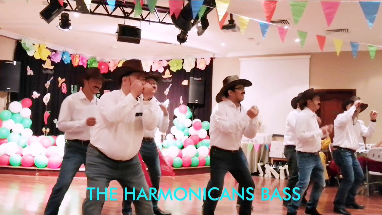 Cumbia, Senorita and No Rompas Mas Dance Mixed Dance by Harmonicans Bass
