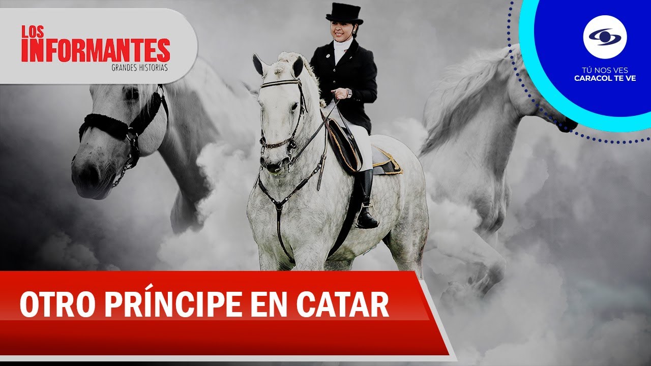 Pay Per View: el caballo colombiano que conquista a la realeza de Catar - Los Informantes