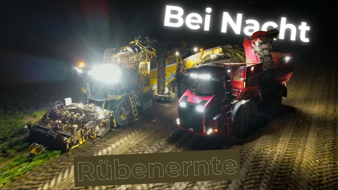 Rübenerte bei Nacht | 4K | 800 PS Ropa Monster | LG Oppurg | Lohnunternehmen Büttner
