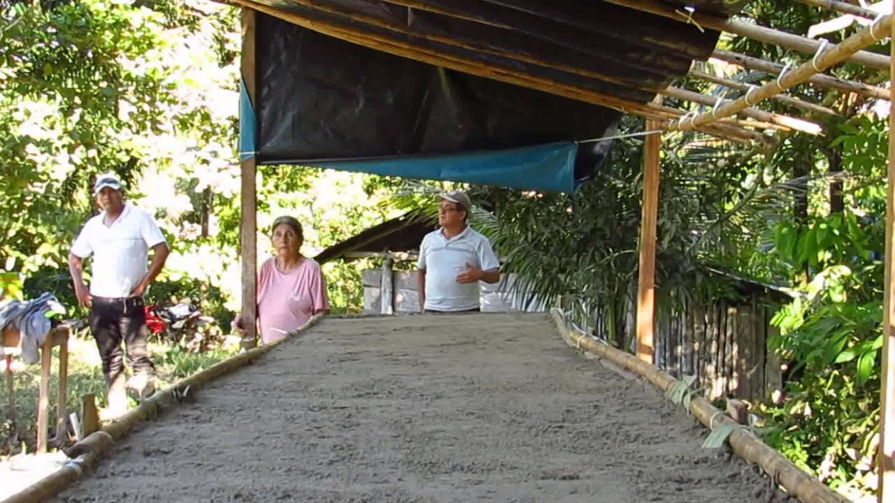 Germinador Forestal