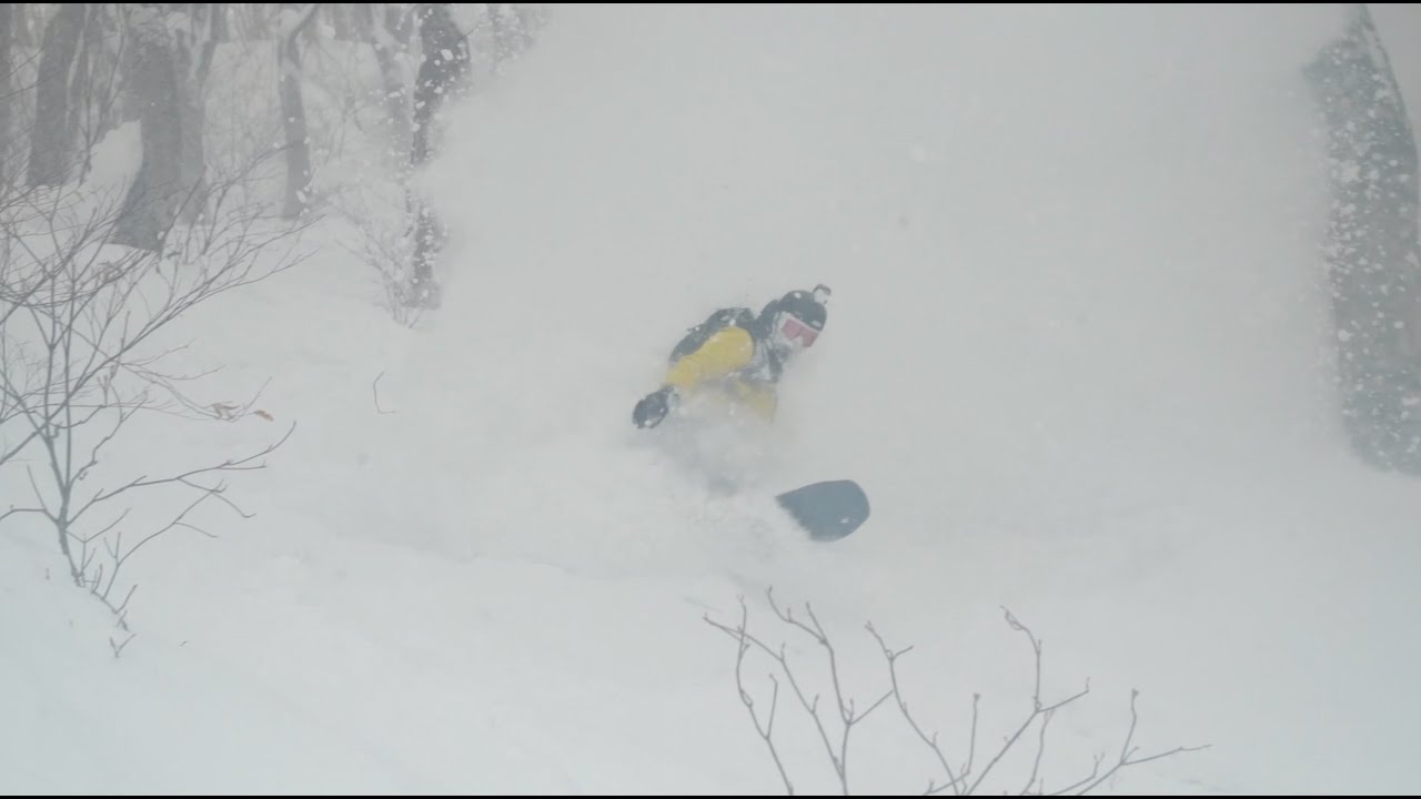 Myoko Suginohara Ski Resort - 21 January 2020 - POWDER