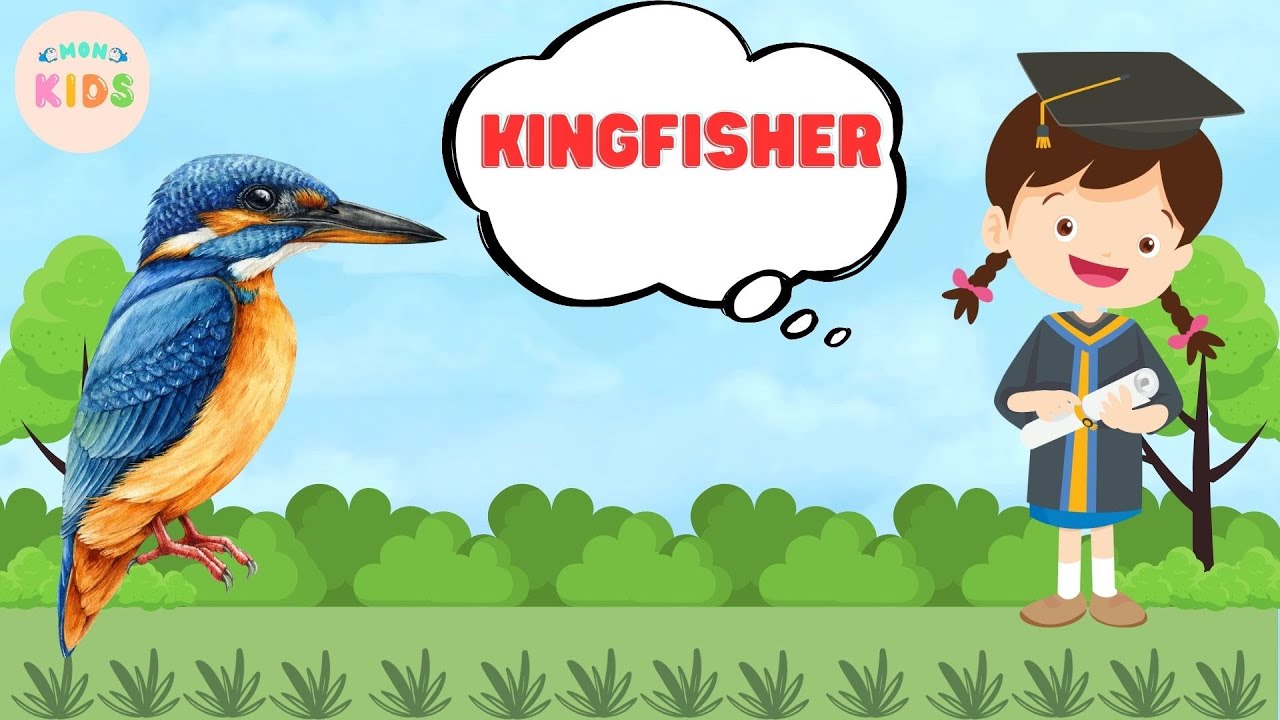 Kingfisher Facts For Kids 😊 Learn All About Kingfishers | MON Kids