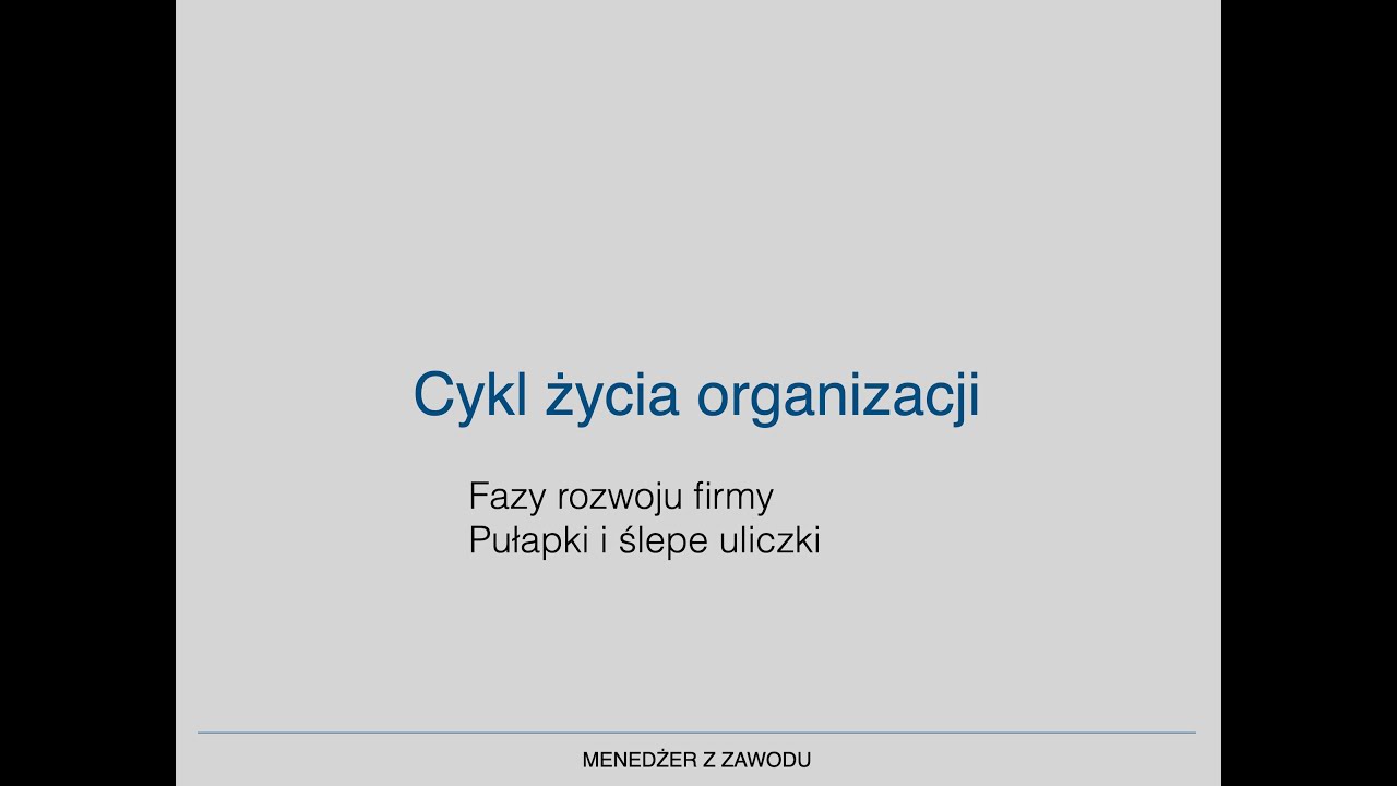 32 Cykl życia organizacji