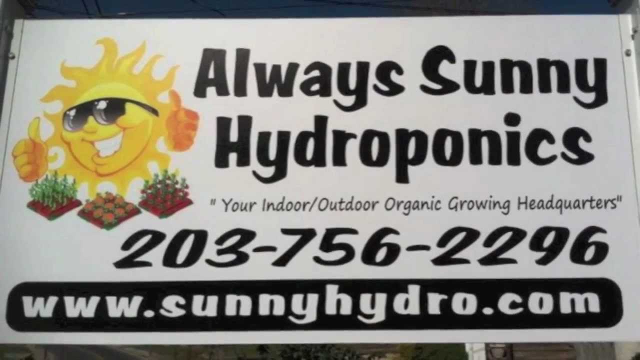 Always Sunny Hydroponics & General Hydroponics Floralicious Plus!