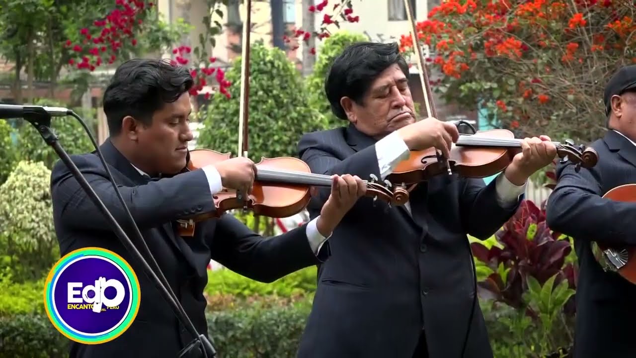 Conjunto Musical Los JILGUEROS DEL HUALCAN 2022   TEMA. Cebadilla