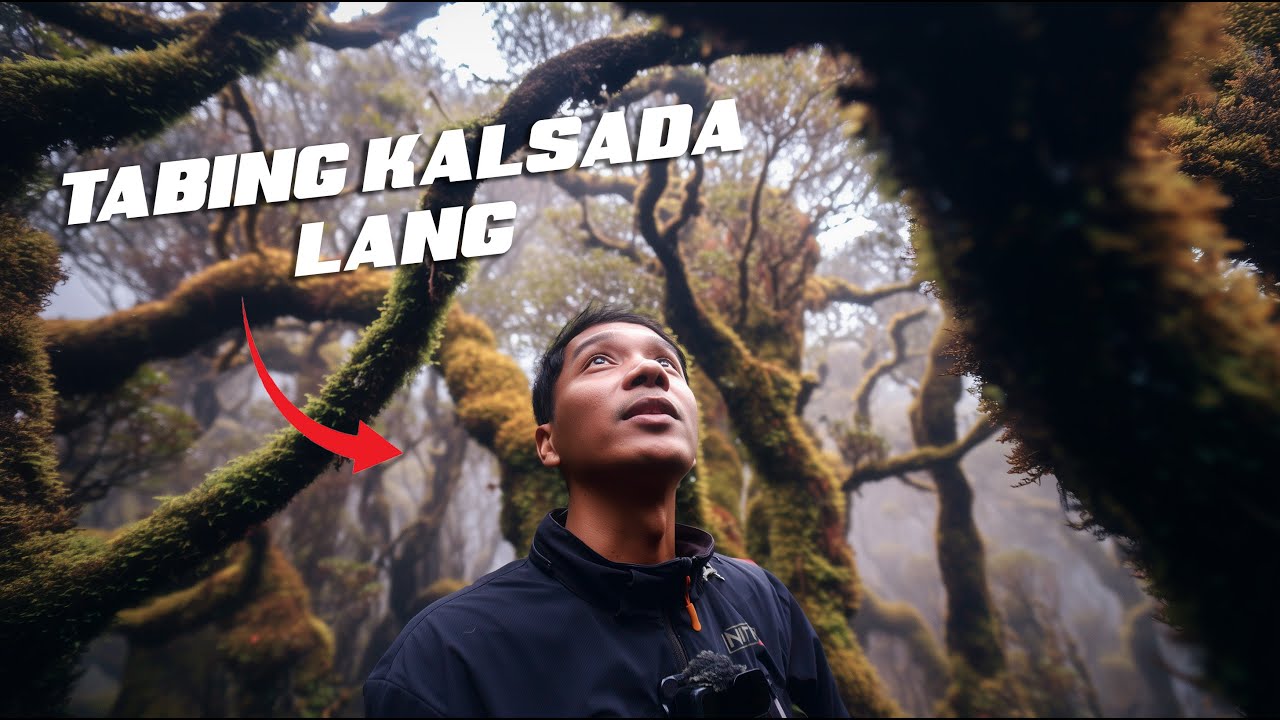 MOSSY FOREST NG BENGUET